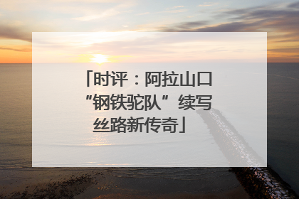 时评：阿拉山口“钢铁驼队”续写丝路新传奇