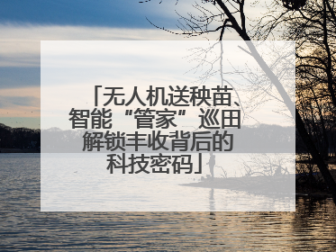 无人机送秧苗、智能“管家”巡田 解锁丰收背后的科技密码