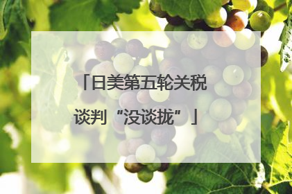 日美第五轮关税谈判“没谈拢”