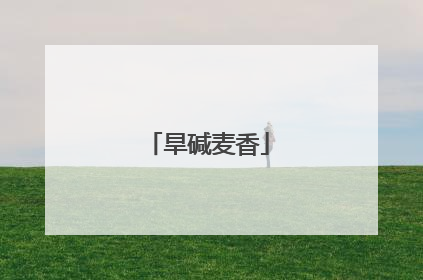 旱碱麦香
