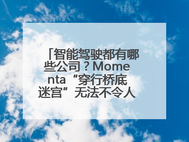 智能驾驶都有哪些公司？Momenta“穿行桥底迷宫”无法不令人印象深刻！