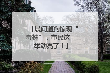 晨间遛狗惊现“毒株”，市民这一举动亮了！