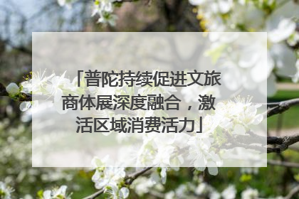 普陀持续促进文旅商体展深度融合，激活区域消费活力