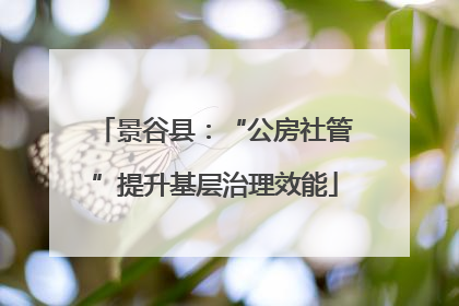 景谷县：“公房社管”提升基层治理效能