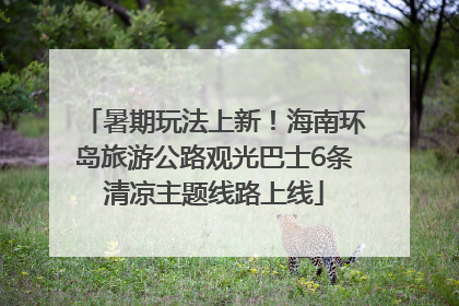 暑期玩法上新！海南环岛旅游公路观光巴士6条清凉主题线路上线