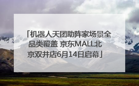 机器人天团助阵家场景全品类覆盖 京东MALL北京双井店6月14日启幕
