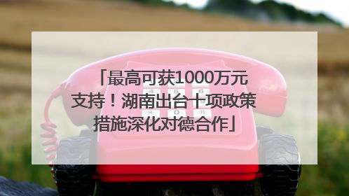 最高可获1000万元支持！湖南出台十项政策措施深化对德合作