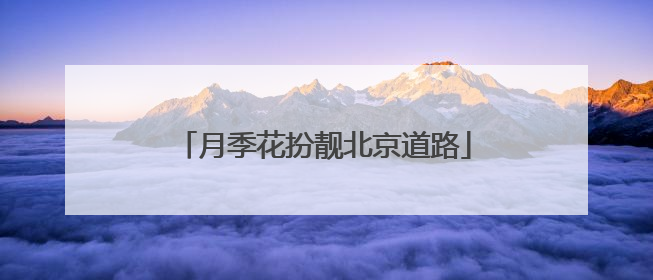 月季花扮靓北京道路