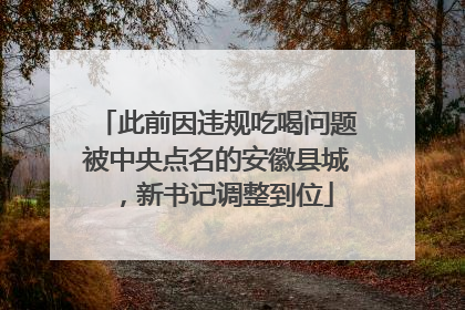 此前因违规吃喝问题被中央点名的安徽县城，新书记调整到位