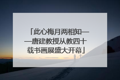 此心梅月两相知——唐建教授从教四十载书画展盛大开幕