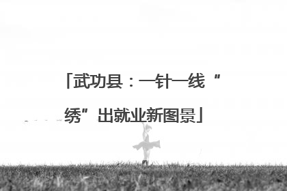 武功县：一针一线“绣”出就业新图景
