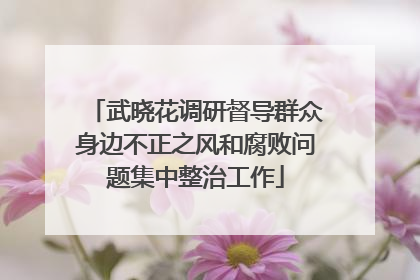 武晓花调研督导群众身边不正之风和腐败问题集中整治工作