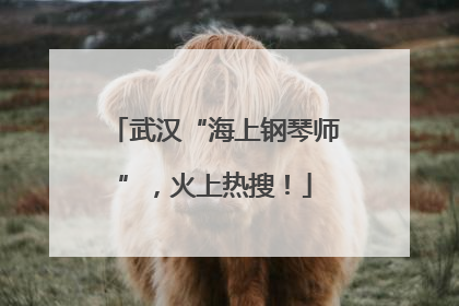 武汉“海上钢琴师”，火上热搜！