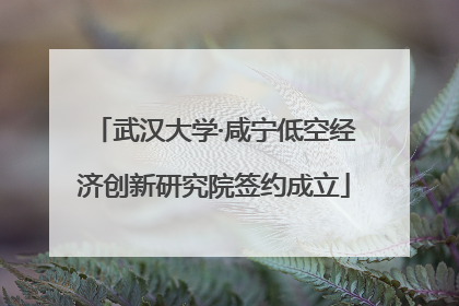 武汉大学·咸宁低空经济创新研究院签约成立