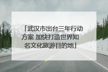 武汉市出台三年行动方案 加快打造世界知名文化旅游目的地
