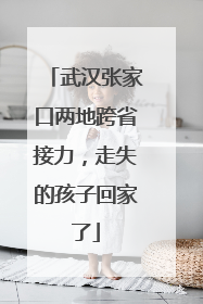 武汉张家口两地跨省接力，走失的孩子回家了