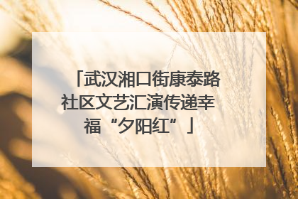 武汉湘口街康泰路社区文艺汇演传递幸福“夕阳红”
