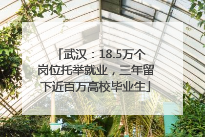 武汉：18.5万个岗位托举就业，三年留下近百万高校毕业生