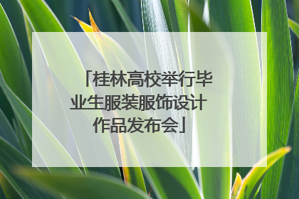 桂林高校举行毕业生服装服饰设计作品发布会