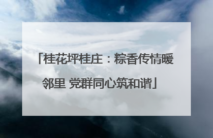 桂花坪桂庄：粽香传情暖邻里 党群同心筑和谐