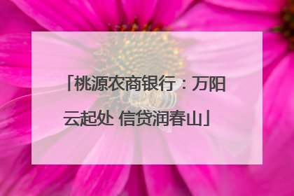 桃源农商银行：万阳云起处 信贷润春山
