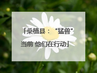 桑植县：“猛兽”当前 他们在行动