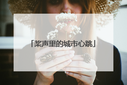 桨声里的城市心跳