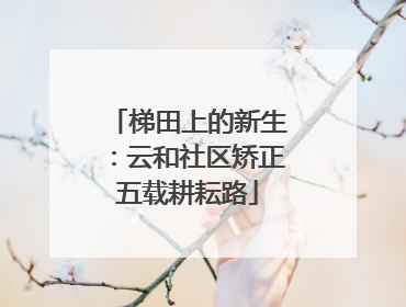 梯田上的新生：云和社区矫正五载耕耘路