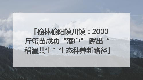 榆林榆阳镇川镇：2000斤蟹苗成功“落户” 蹚出“稻蟹共生”生态种养新路径