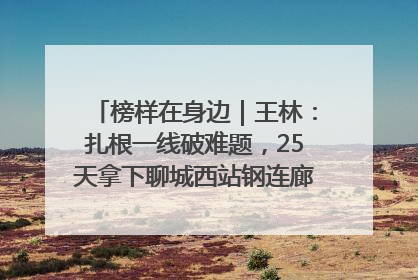 榜样在身边｜王林：扎根一线破难题，25天拿下聊城西站钢连廊“硬核”工程