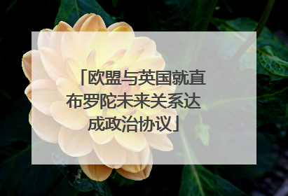欧盟与英国就直布罗陀未来关系达成政治协议
