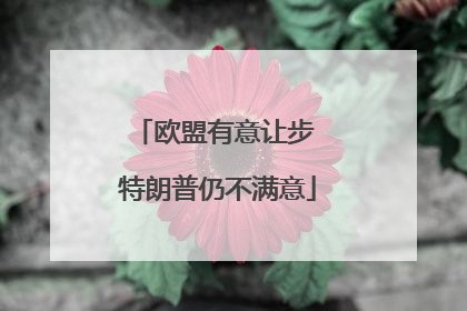 欧盟有意让步 特朗普仍不满意