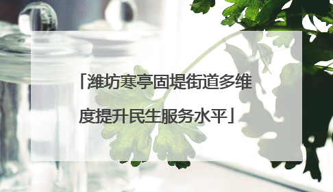 潍坊寒亭固堤街道多维度提升民生服务水平