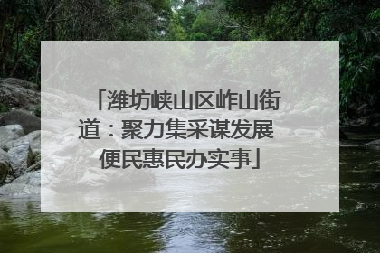 潍坊峡山区岞山街道：聚力集采谋发展 便民惠民办实事