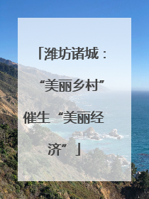 潍坊诸城：“美丽乡村”催生“美丽经济”
