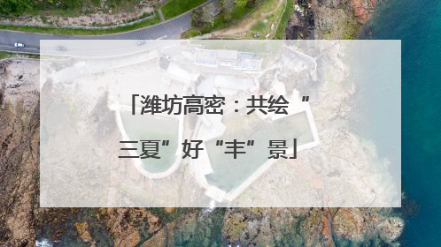 潍坊高密：共绘“三夏”好“丰”景