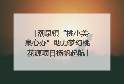 潮泉镇“桃小美·泉心办”助力梦幻桃花源项目扬帆起航