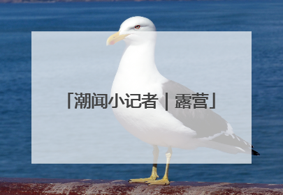 潮闻小记者｜露营