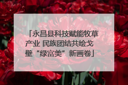 永昌县科技赋能牧草产业 民族团结共绘戈壁“绿富美”新画卷