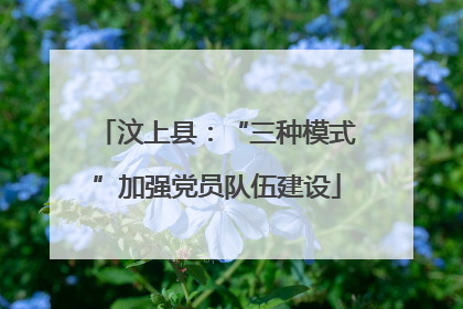 汶上县：“三种模式”加强党员队伍建设