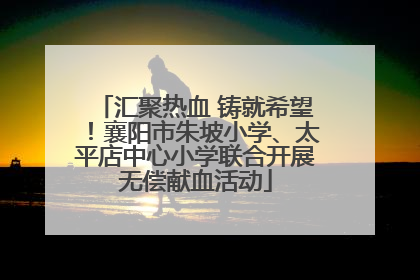 汇聚热血 铸就希望！襄阳市朱坡小学、太平店中心小学联合开展无偿献血活动