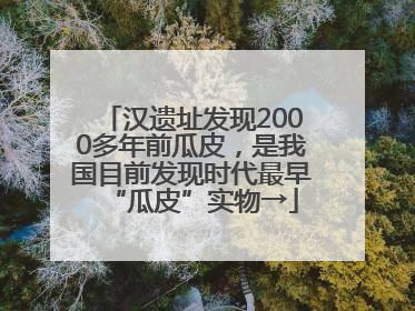 汉遗址发现2000多年前瓜皮，是我国目前发现时代最早“瓜皮”实物→