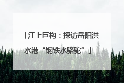 江上巨构：探访岳阳洪水港“钢铁水骆驼”