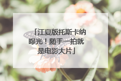 江夏版托斯卡纳曝光！随手一拍就是电影大片