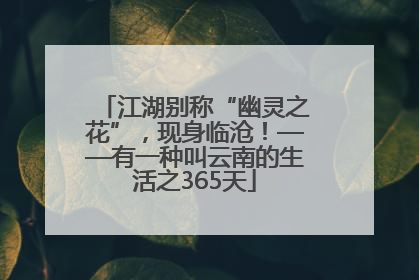 江湖别称“幽灵之花”，现身临沧！——有一种叫云南的生活之365天