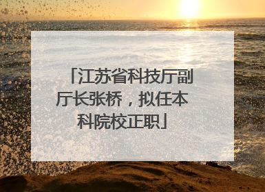 江苏省科技厅副厅长张桥，拟任本科院校正职