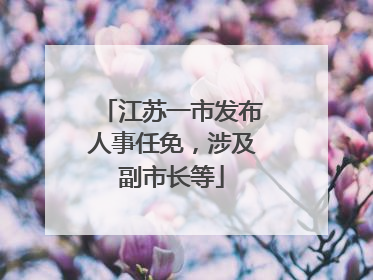 江苏一市发布人事任免，涉及副市长等