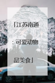 江苏南通：可爱动物品美食