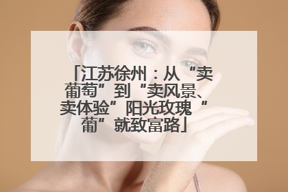江苏徐州：从“卖葡萄”到“卖风景、卖体验”阳光玫瑰“葡”就致富路