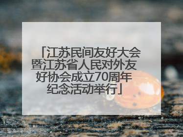 江苏民间友好大会暨江苏省人民对外友好协会成立70周年纪念活动举行